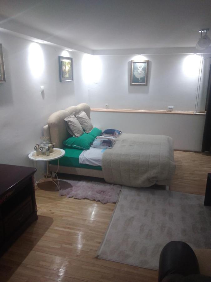Goksi Apartment 苏博蒂察 外观 照片